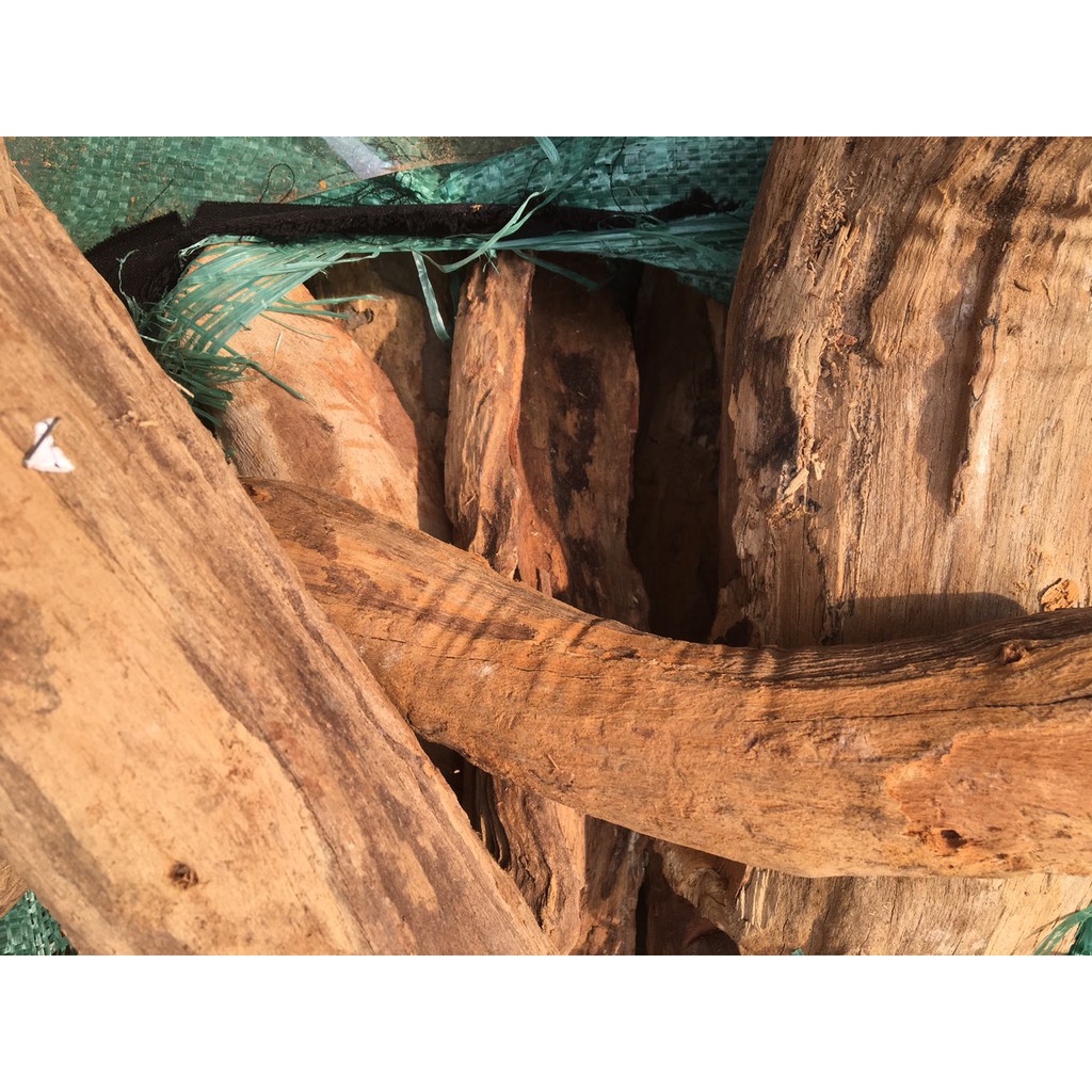 4 Kg Rễ gỗ nghiến ghép lan dài 25 đến 30 cm