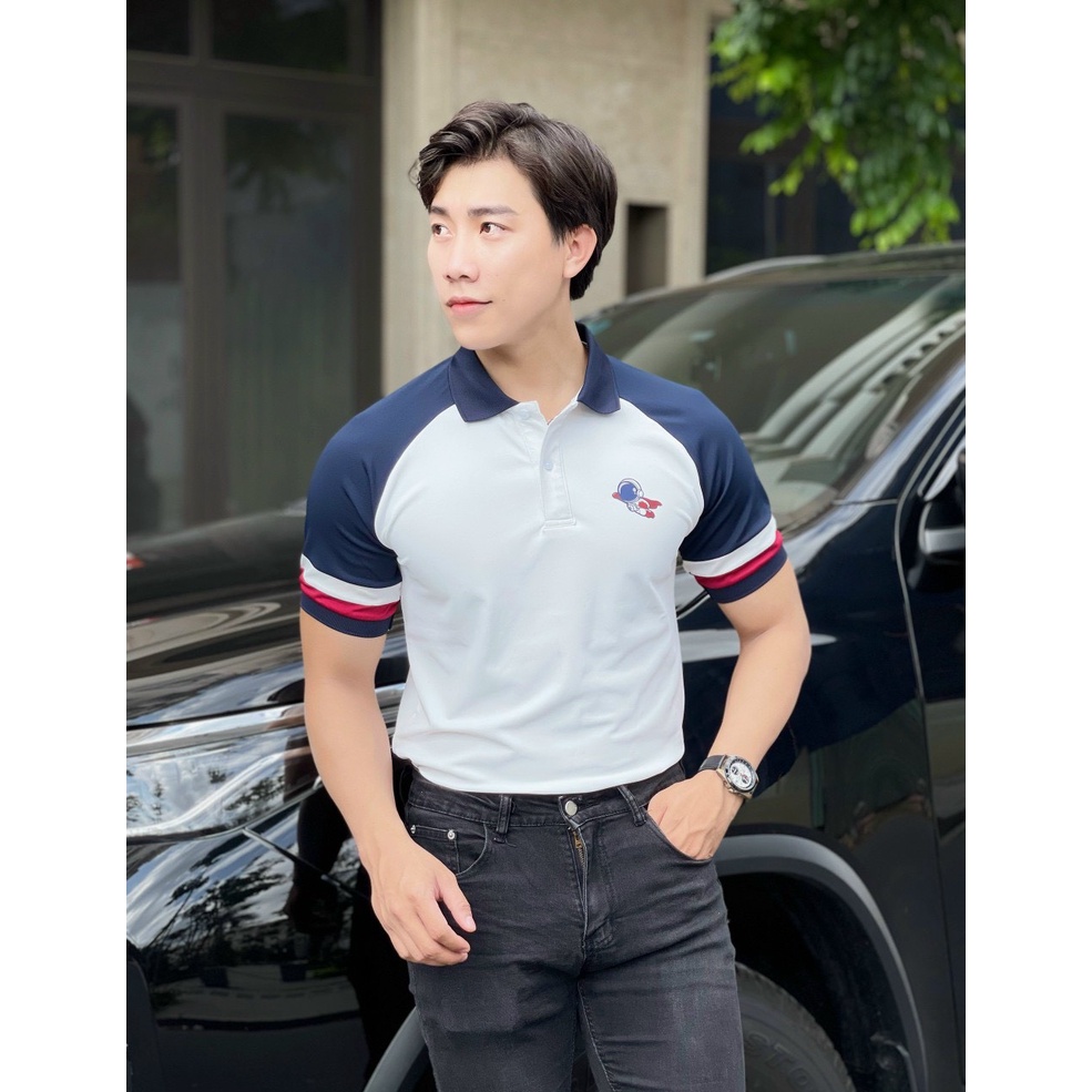 Áo polo nam cổ bẻ vải cá sấu Cotton xuất xịn,chuẩn form, sang trọng - thanh lịch TB019