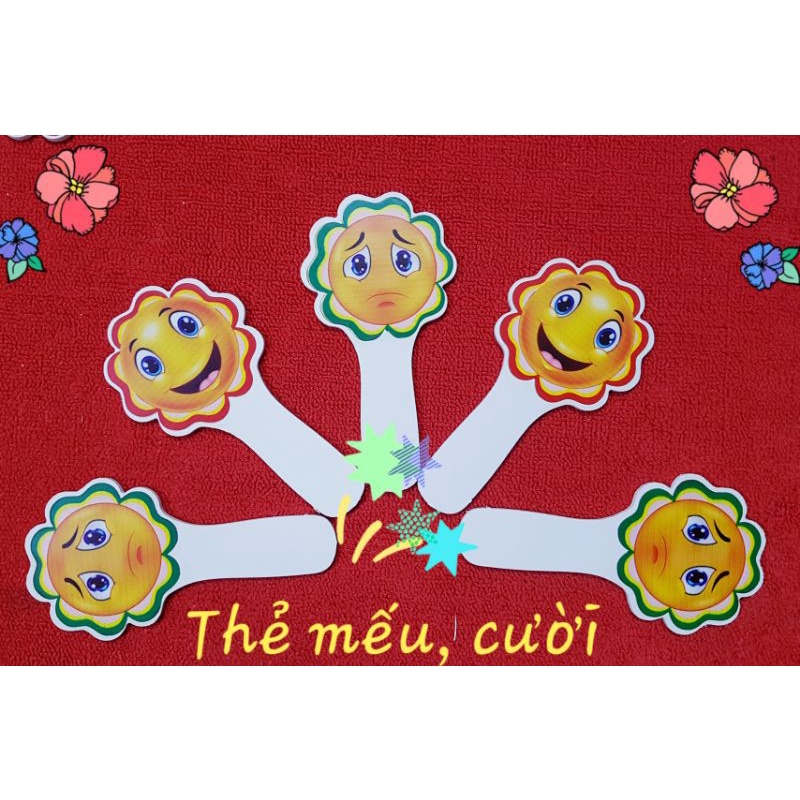 Thẻ Đáp Án ABCD Đ S Mếu Cười có cán siêu bền 2 mặt