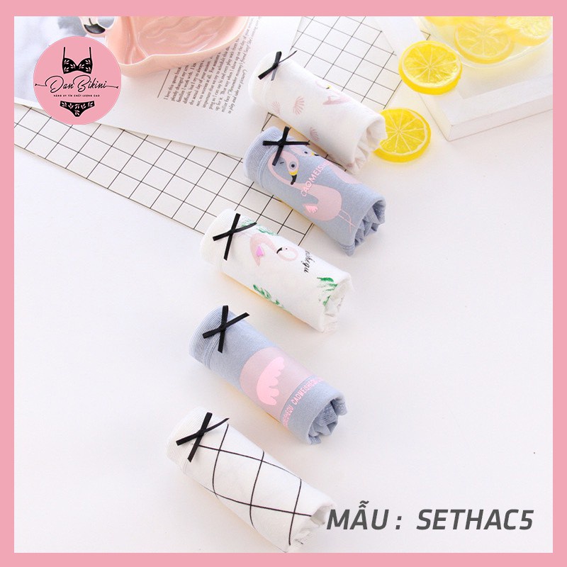 Quần Lót Nữ Cotton rẻ đẹp kháng khuẩn dễ thương màu sắc tươi mới trẻ trung mã C087