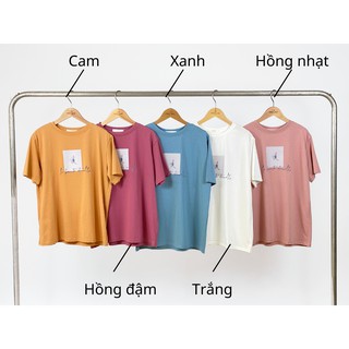 ÁO PHÔNG FREESIZE  (KÈM ẢNH THẬT) MÃ MM811
