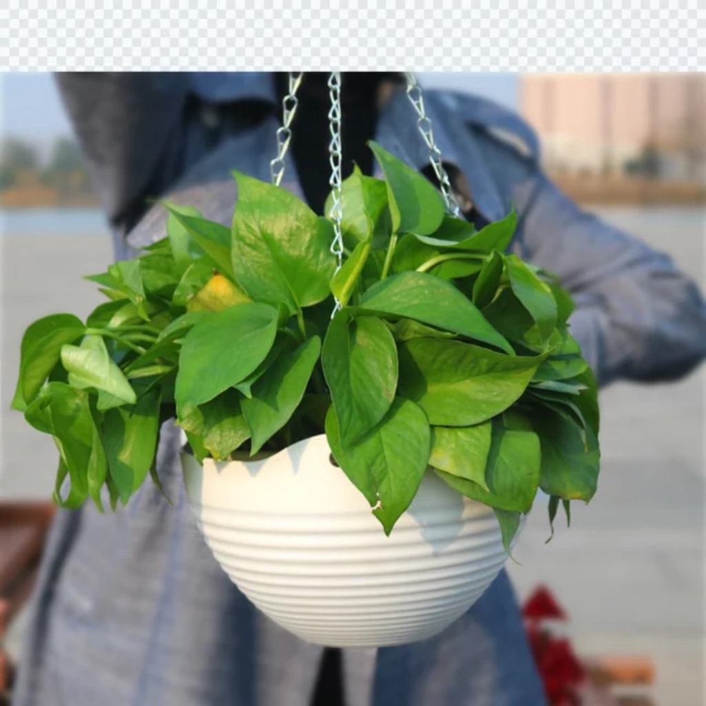 Giỏ treo hoa bằng nhựa VB211 dùng để trang trí ban công sân vườn, kích thước 23 x 14cm