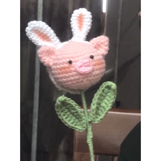 Bông hoa lợn bằng len cute phô mai que