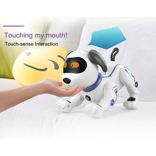 ĐỒ CHƠI CHÍNH HÃNG VECTO - CHÚ CHÓ VUI NHỘN - SKU K16