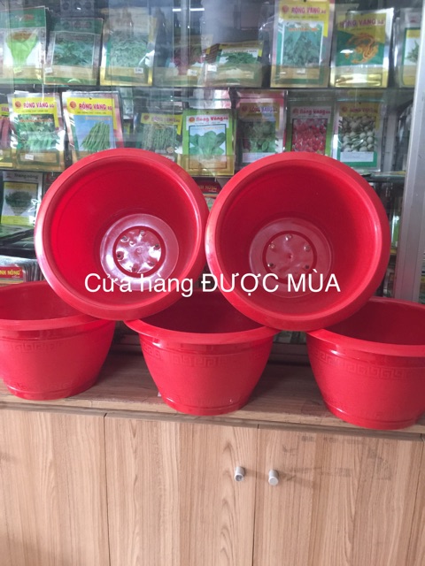 Combo 5 chậu truyền thống đk34cm.