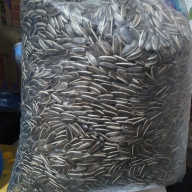 Hướng dương đen