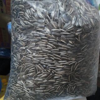 Hướng dương đen