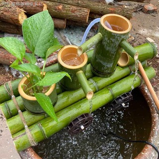 Ống tre trang trí bể cá