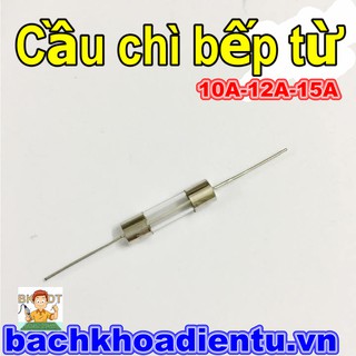 Cầu chì bếp từ các loại.