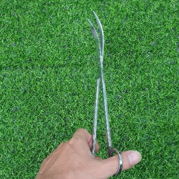 Kéo Cắt Cây Thủy Sinh - Dày dặn hàng tốt