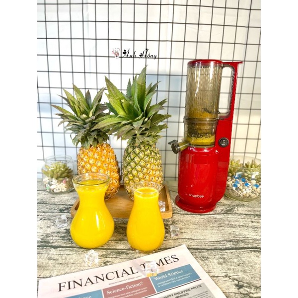 Máy ép trái cây, ép chậm SnapBee SK202US Hàng Chính Hãng Bảo Hành 12 Tháng