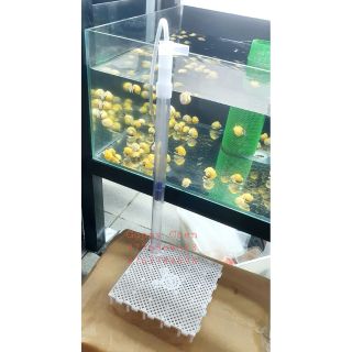 lọc đáy taiwan cho hồ cá