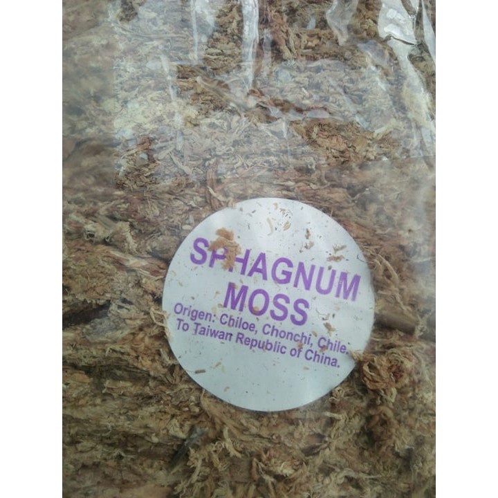 [SIEURE] Rêu CHILE giữ ẩm HOA LAN GÓI 100G hàng đẹp, phân phối chuyên nghiệp.