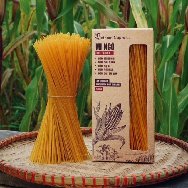Vietnam Napro