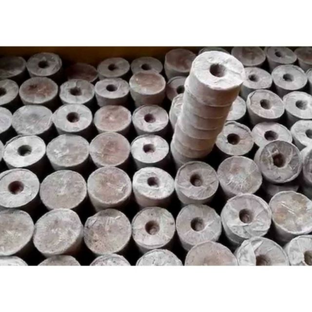 Combo 10 viên nén sơ dừa ươm hạt