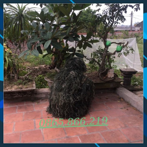 Bộ Quần Áo Ngụy Trang Tua Đống Rơm | BigBuy360 - bigbuy360.vn