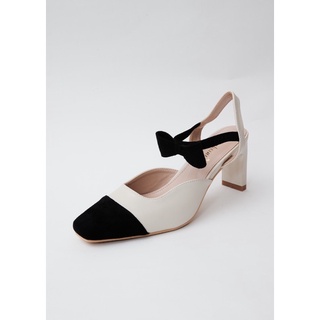 221720 - CAO GÓT ADELAIDE MULES