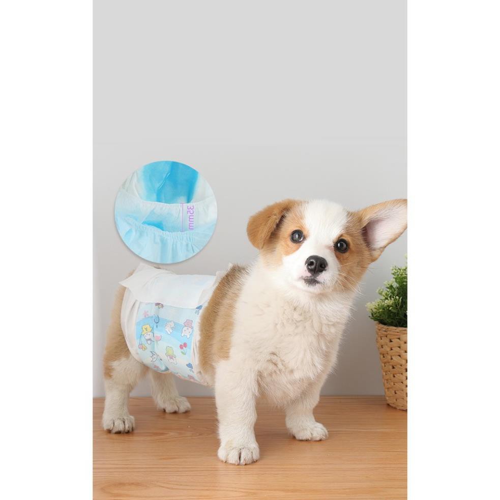 Hanpet.GV- Bỉm chó &amp; Tã lót khay vệ sinh chó mèo, chất liệu giấy siêu thấm hút