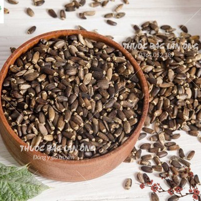 Ngưu Bàng Tử 500g