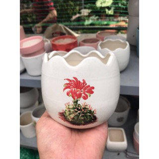 [FREESHIP] CHẬU GỐM,SỨ BÁT TRÀNG GIÁ RẺ, CHẬU CUTE TRỒNG CÂY  ĐỂ BÀN