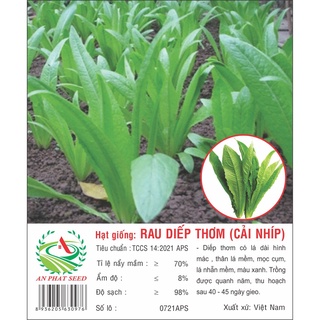 Hạt giống rau diếp thơm - cải nhíp 2g