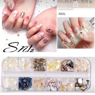 Xà cừ, bào ngư, vỏ sò trang trí móng