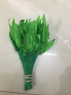 100g lá mai