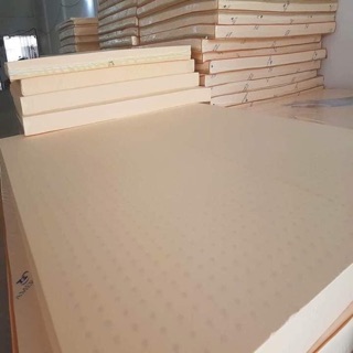nệm cao su non 1m6x 2m cao 10 phân