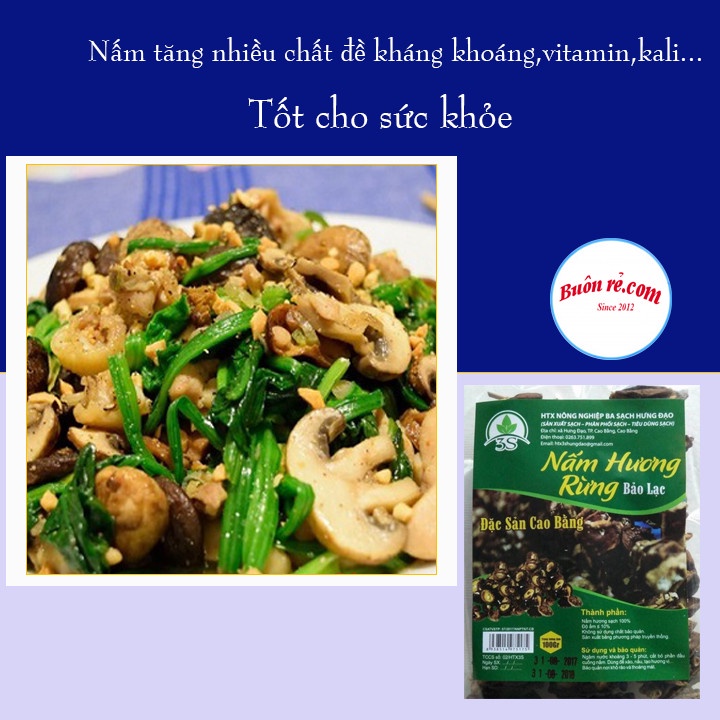 Nấm hương rừng khô (100G) thơm ngon giàu dinh dưỡng - Đặc sản Cao Bằng nông sản sạch 00021