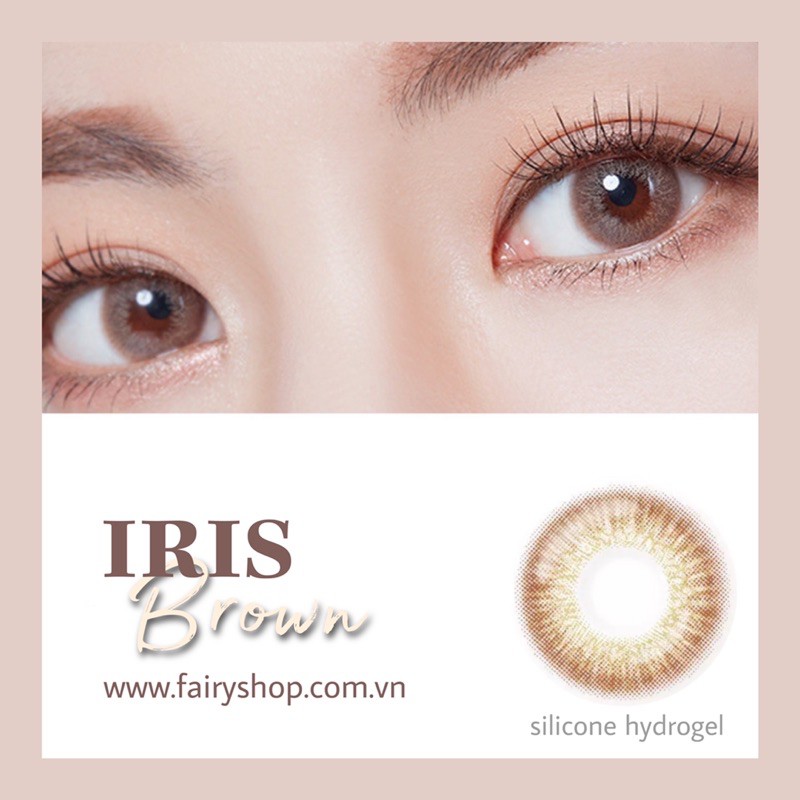 Kính Áp Tròng Iris Brown 14.0mm - Kính Áp Tròng FAIRY SHOP CONTACT LENS độ cận 0 đến 6