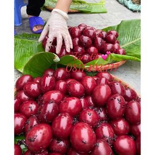 TRỨNG BÁCH NHẬT LOẠI 1 LÍT