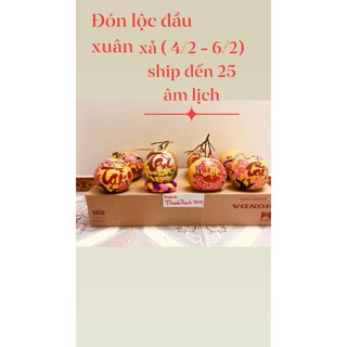 Bưởi Thư pháp, Dừa thư pháp