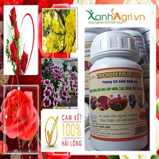 PHÂN BÓN CHO HOA VÀ RAU MÀU VƯỜN NHÀ