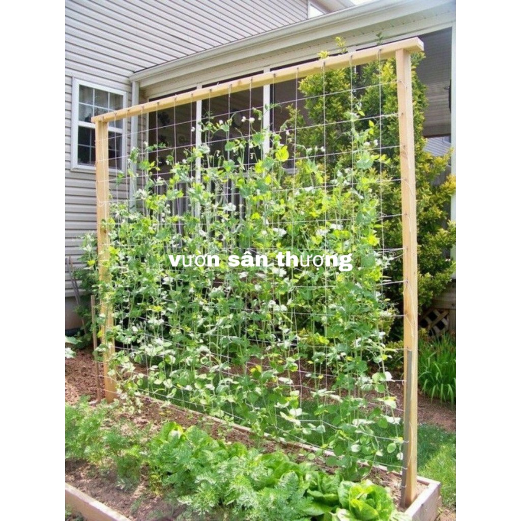 Dây Dù Làm Giàn Leo Cho Cây Dưa Lưới, Dưa Leo..