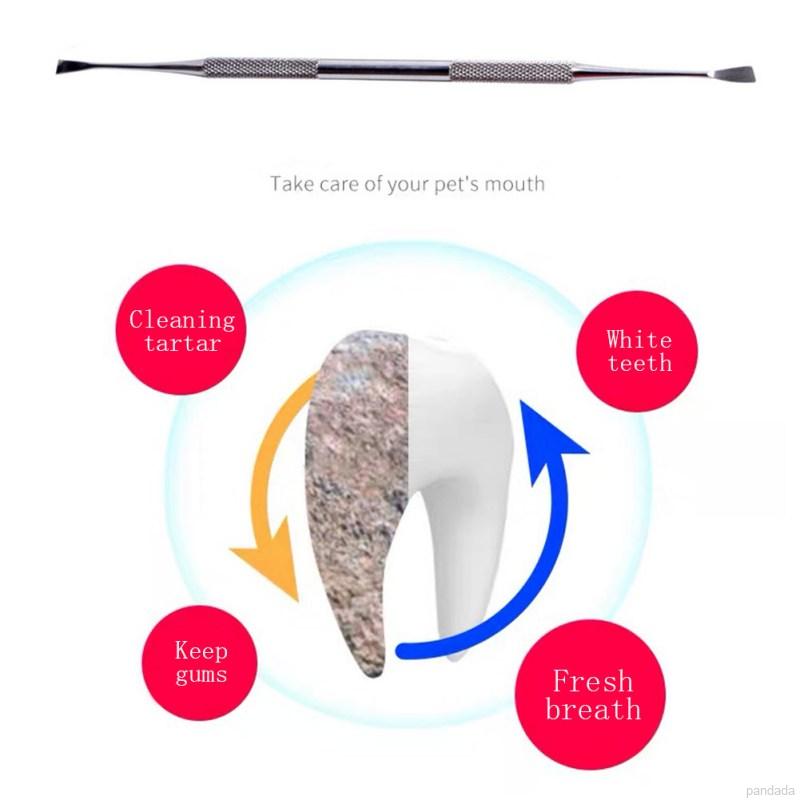 Dụng cụ vệ sinh răng cho thú cưng bằng thép không gỉ tiện lợi