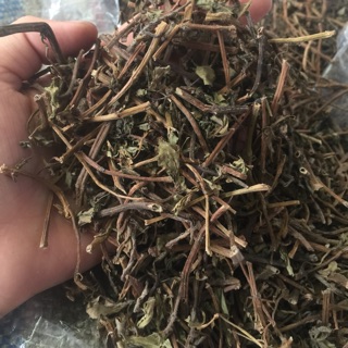 Cây dừa nước 1kg