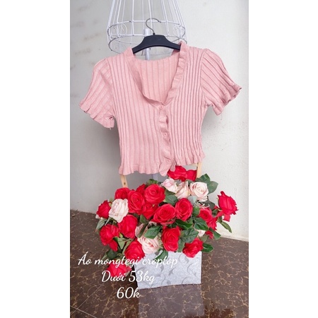 Áo mongtegi dáng croptop
