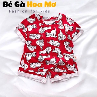 Bộ cộc BERNIE hàn