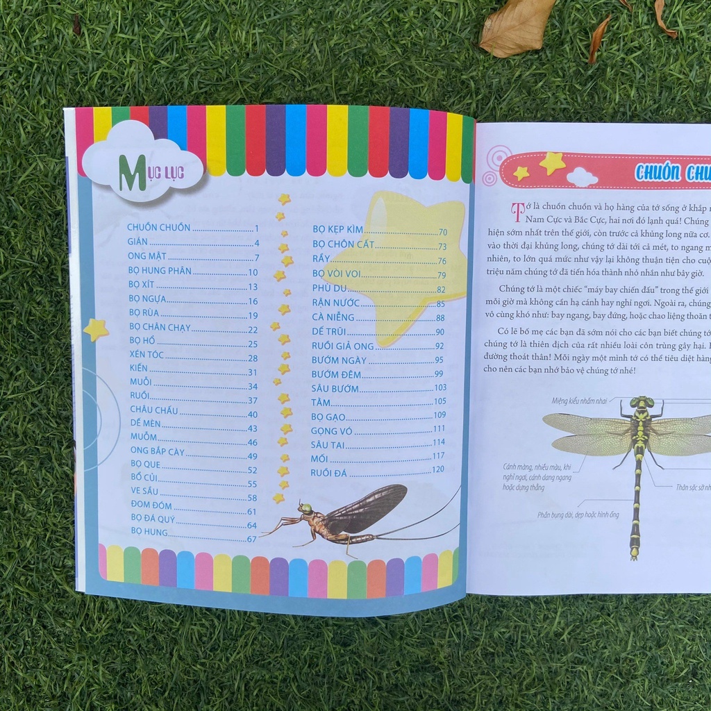 Sách - Bách khoa động vật dành cho trẻ nhỏ - Côn trùng