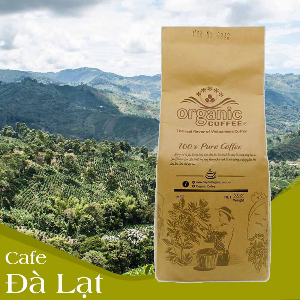 500 Gram 100% Arabica Bột Cà Phê Nguyên Chất Dành Cho Pha Phin Tuyệt Vời - Cà Phê Ngon Cao Cấp Từ Đà Lạt Organic Coffee