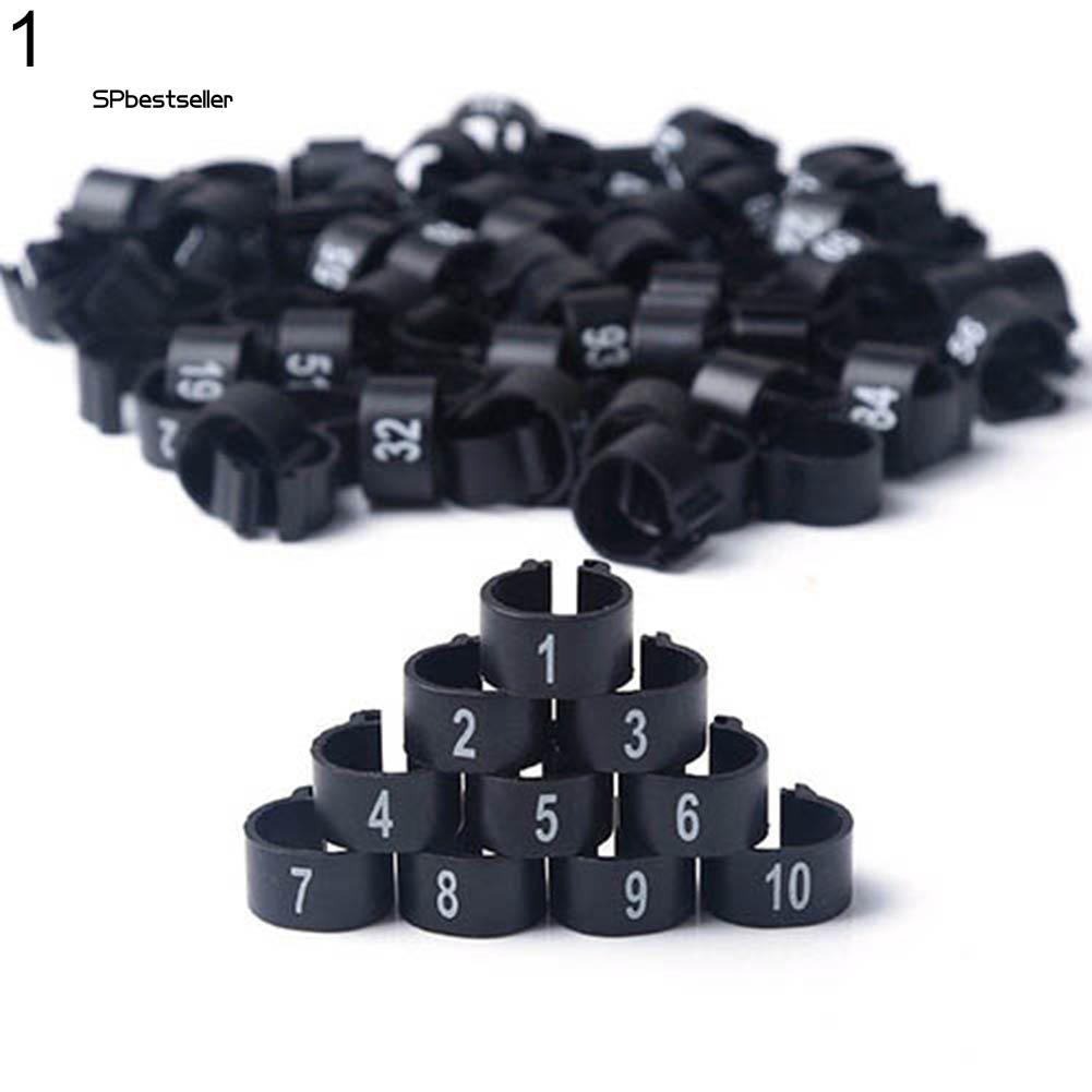 100 Vòng đeo chân chim bồ câu bằng nhựa nhiều màu sắc