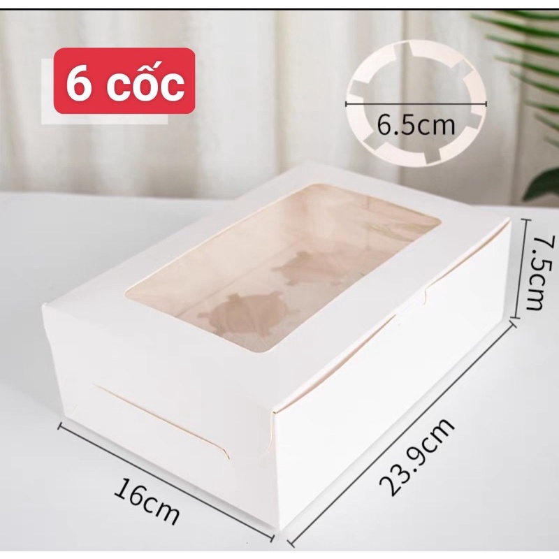 Hộp cup cake trắng dạng 12 ô bánh, 6 ô bánh , 4  ô bánh