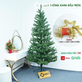 Cây Thông Noel 2m4 Đầu Tròn 2 Loại Lá, Hàng Loại Đẹp Tặng Kèm Phụ Kiện