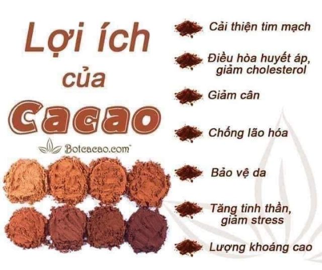 Bột Cacao Daklak hàng chuẩn công ty nguyên chất thơm ngon hộp 500g