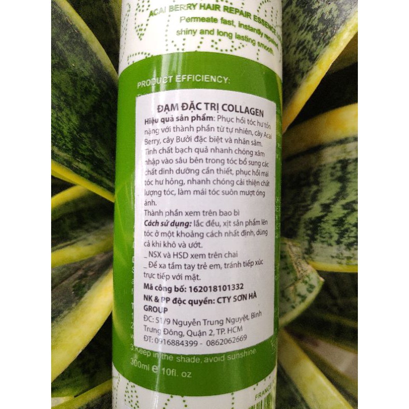 Xịt dưỡng đạm Collagen Acai Berry 300ml | BigBuy360 - bigbuy360.vn