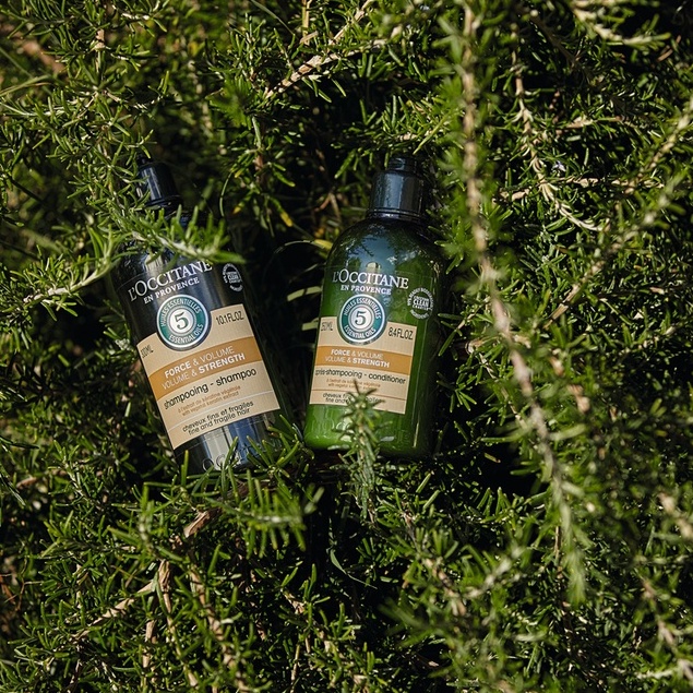 [TÚI REFILL] Dầu Gội Phục Hồi Tóc Chắc Khoẻ và Bồng Bềnh Tự Nhiên Strenght &amp;Volume 500ml L'Occitane