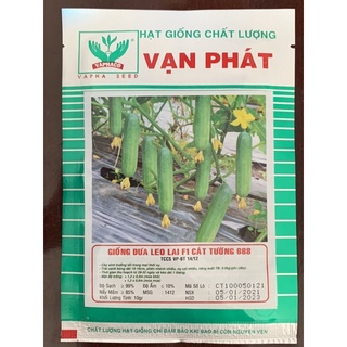 Hạt giống dưa leo lai f1 vạn phát