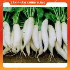 HẠT GIỐNG CỦ CẢI TUYỂN CAO SẢN