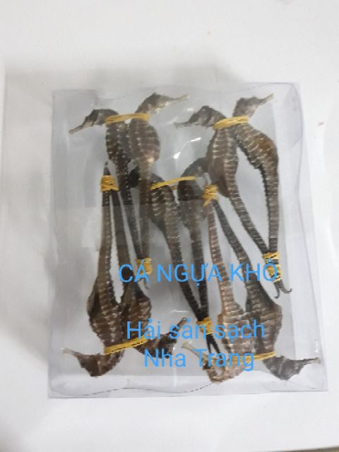 Cá Ngựa Khô - Cá Ngựa Ngâm Rựu - Hải Mã Khô tặng kèm 1 hải long