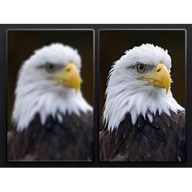 Máy in 3d anycubic photon mono SE - resin printer | BigBuy360 - bigbuy360.vn